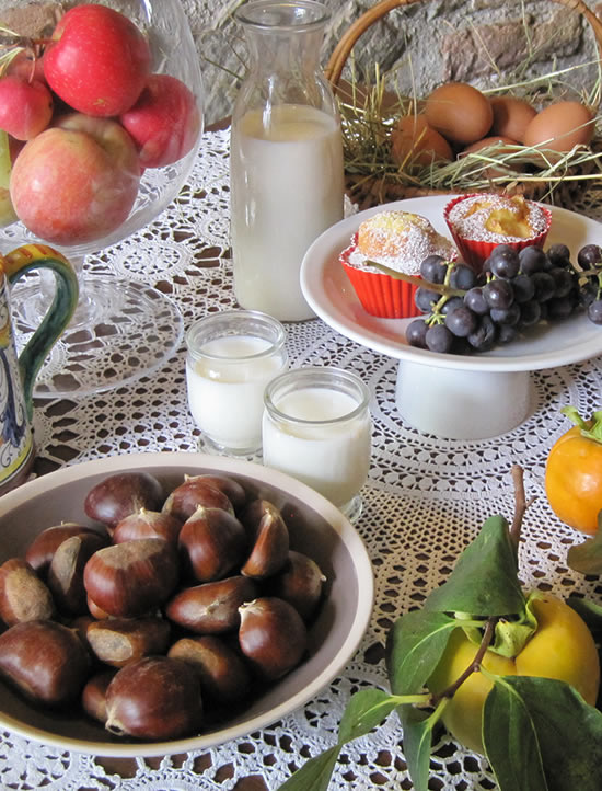 Sapori e ricerca del gusto