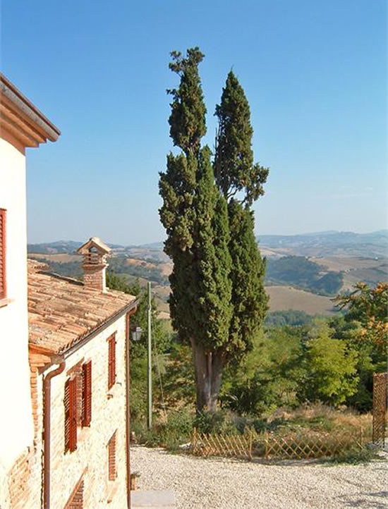 La struttura